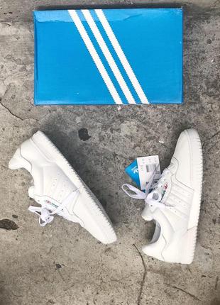 Кроссовки adidas calabasas white2 фото