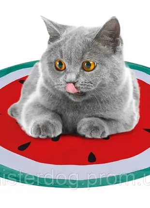 Ексклюзив!!! охолоджуючий круглий килимок для котиків чи песиків  watermelon (арбуз) ø 60 см новий