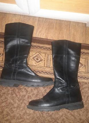 Сапоги шкіра sigi