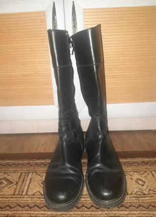 Сапоги шкіра sigi