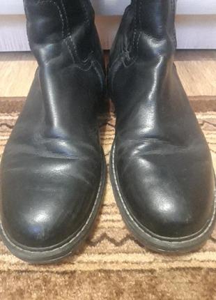 Сапоги шкіра sigi