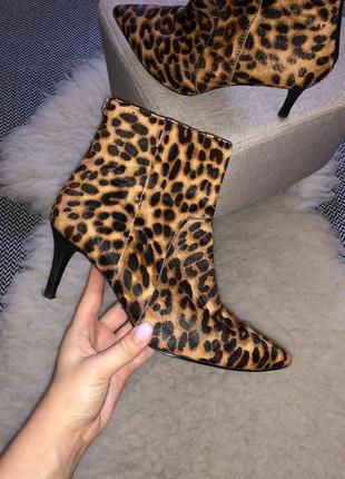 Киттен хил леопардовые анимал сапоги ботинки каблук шпилька ворс шерсть натуральная кожа кожаные шкіряні