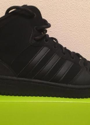 adidas hoops winter