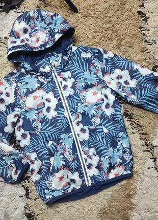 Красива практична куртка вітровка на 5-6 років (якомога раніше)