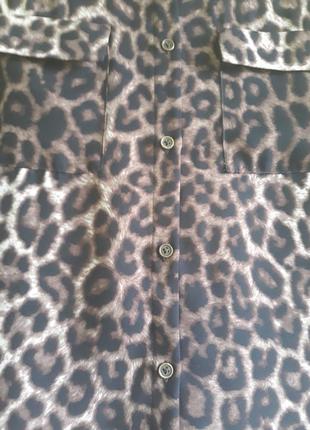 Леопардовая блуза3 фото
