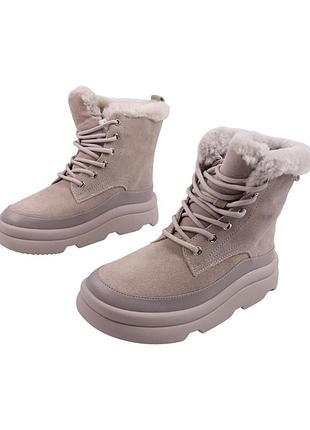 Ботинки женские sorte lady серые натуральная замша, 36