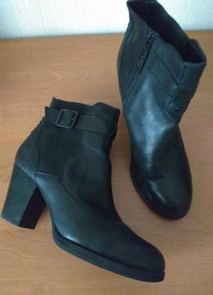 Жіночі шкіряні ботильйони clarks.