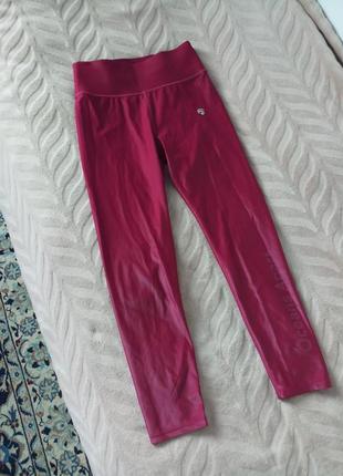 Легінси лосіни oceans apart