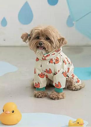 Дощовик на маленького песика