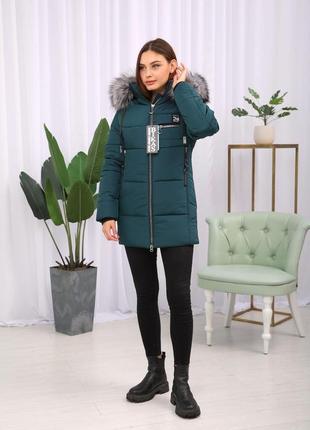 Модная зимняя теплая женская куртка на тинсулейте с чернобуркой . бесплатная доставка5 фото