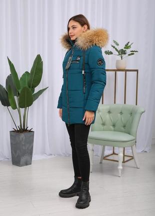 Зимняя женская теплая куртка на утеплителе тинсулейте с натуральным мехом енота. бесплатная доставка6 фото