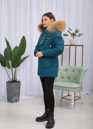 Зимняя женская теплая куртка на утеплителе тинсулейте с натуральным мехом енота. бесплатная доставка2 фото