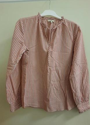 Блуза жіноча