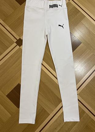 Лосіни puma m