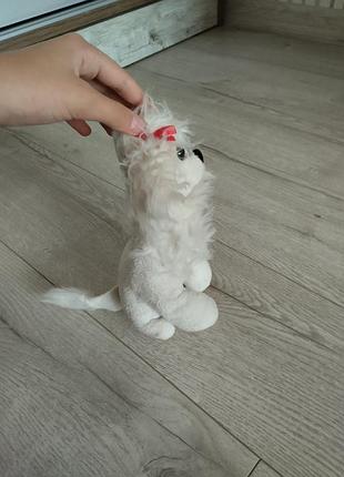 Собячка м'яка іграшка 3