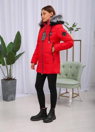 Яркая зимняя теплая женская короткая куртка на тинсулейте. бесплатная доставка4 фото