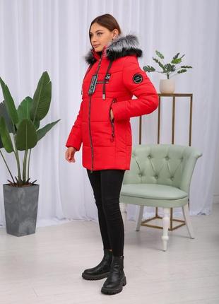 Яркая зимняя теплая женская короткая куртка на тинсулейте. бесплатная доставка5 фото
