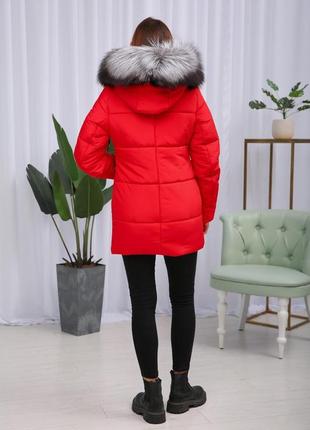Красивая красная зимняя теплая женская короткая куртка на тинсулейте с чернобуркой . бесплатная доставка5 фото