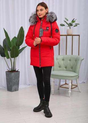 Красивая красная зимняя теплая женская короткая куртка на тинсулейте с чернобуркой . бесплатная доставка3 фото