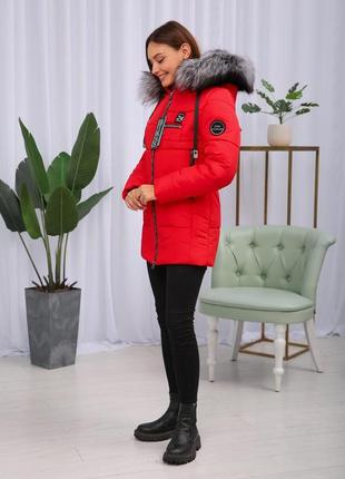 Красивая красная зимняя теплая женская короткая куртка на тинсулейте с чернобуркой . бесплатная доставка4 фото