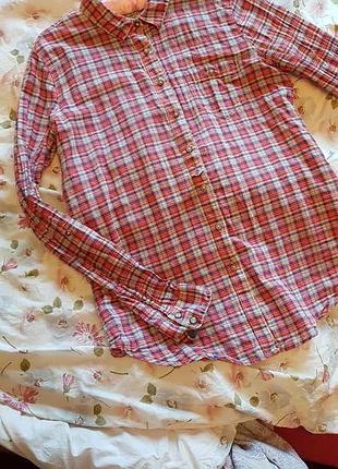 Очень качественная рубашка мягкого цвета 100% хлопок клетчатая в клетку