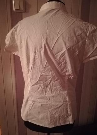 Блуза рубашка белая с короткими рукавами размер m-l новая2 фото