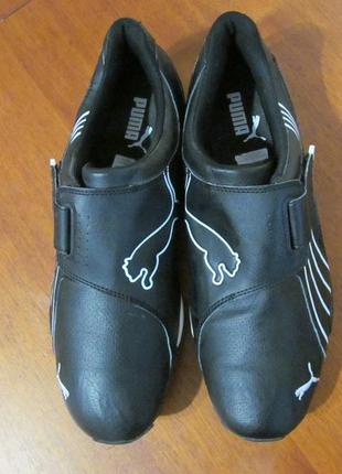 Puma taisoku cheap
