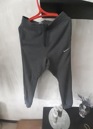 Штани nike