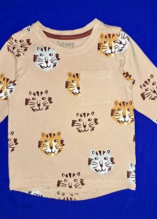 Хорошенький регланчик"nutmeg"(1.5-2 года)