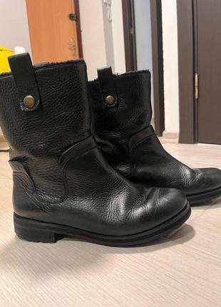 Сапоги, ботинки clarks