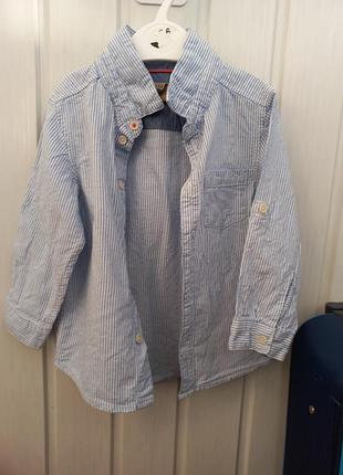 Рубашка в смужку з довгим рукавом