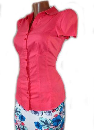 Блуза рубашка корал рукава - фонарики, 8/36