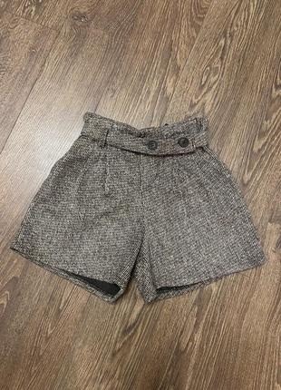 Шорты классические тёплые зима осень