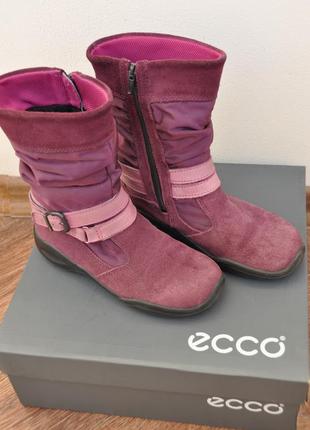 Сапоги зимние ecco winter queen р. 33, цвет бордовый