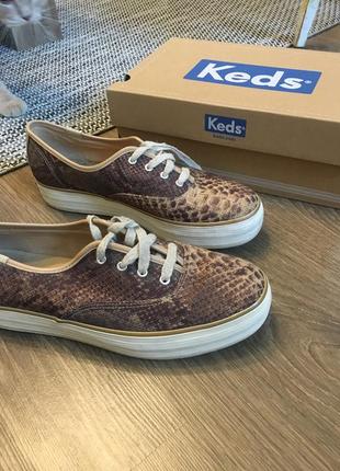 Кеди keds1 фото