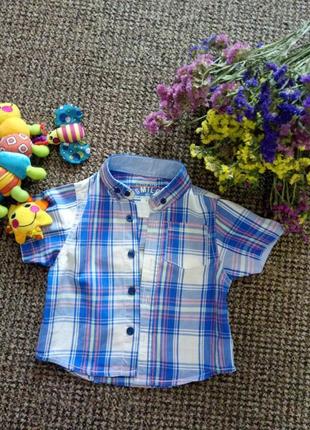 Рубашка,тениска