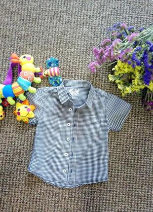 Сорочка,туниска