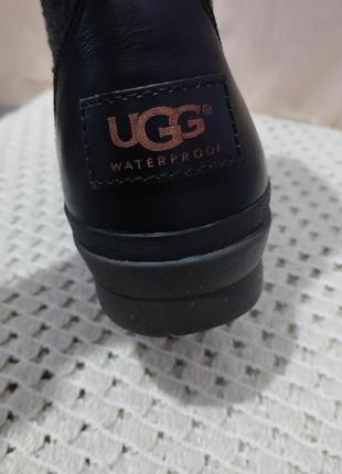 Шкіряні черевики ugg waterproof8 фото