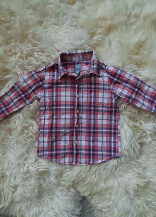 Рубашка на хлопчика gap