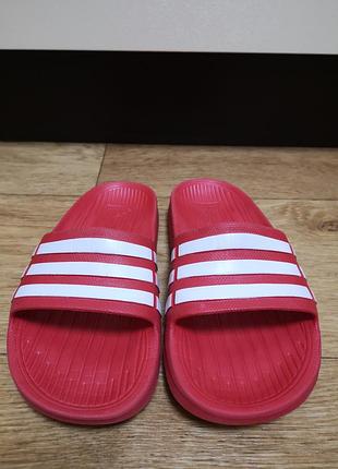 Сланцы adidas
