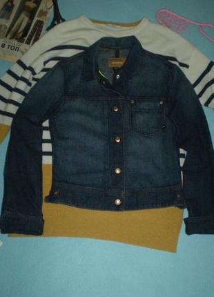 Жіноча джинсовка dkny jeans s-m 44-46р. куртка джинсова , бавовна, синя
