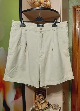 Стильні шорти gant