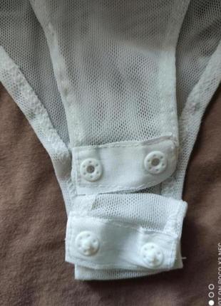 Блузка боді, бабовна англія5 фото