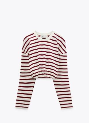 Zara кофта в полоску лонгслив свитер кроп реглан тельняшка размер s2 фото