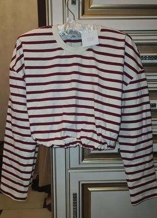Zara кофта в полоску лонгслив свитер кроп реглан тельняшка размер s6 фото