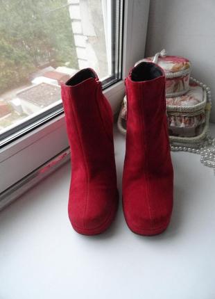Сапожки из натуральной замши