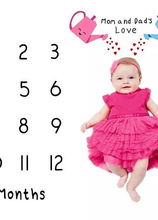 Фотофон фотопелюшка з цифрами для фотосесії по місяцях