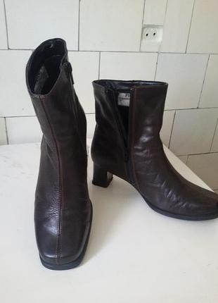 Аккуратные сапожки демисезонные (ст. 25 см ) piqant  8