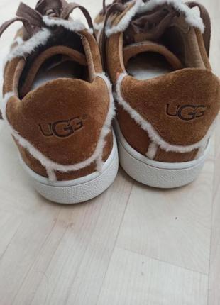 Оригинальные кеды ugg размер 395 фото