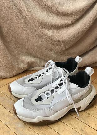 Puma thunder